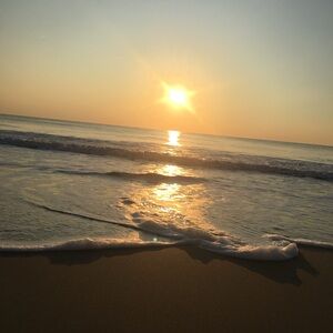 Meet your Posher, Rey🌻